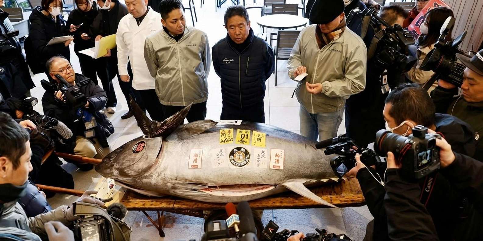 Toyosu fish market tour — tuna auction, wholesale hall and Tsukiji outer market — image 2