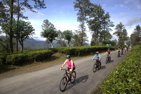 Sri Lanka 14-Day Small-Group Cycling Tour