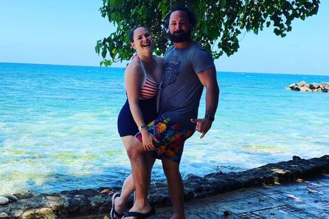 Dunn’s River Falls and Dolphin Cove Swim Adventure From Montego Bay/ Falmouth/ Trelawny