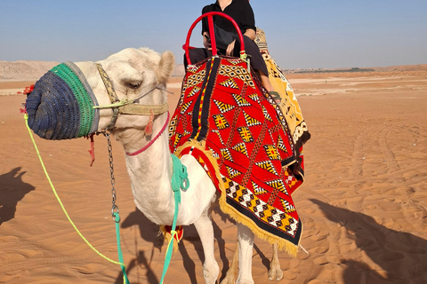 Desierto de dunas de arena : Riad