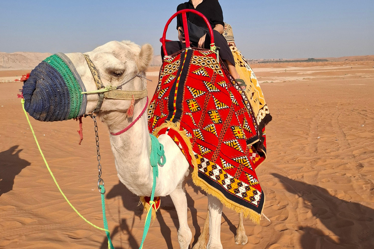 Desierto de dunas de arena : Riad