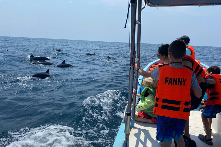 Puerto Escondido: Bootstour zu Delfinen und MeerestierenPrivate Tour