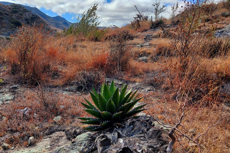 Mitla: Fahrradtour zur archäologischen Zone und zu Höhlen mit Felskunst