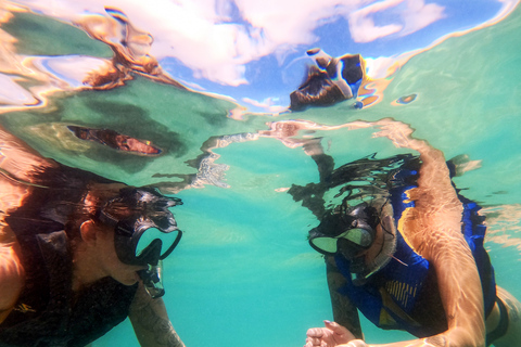 Puerto Rico: Snorkeling with Turtles Adventure