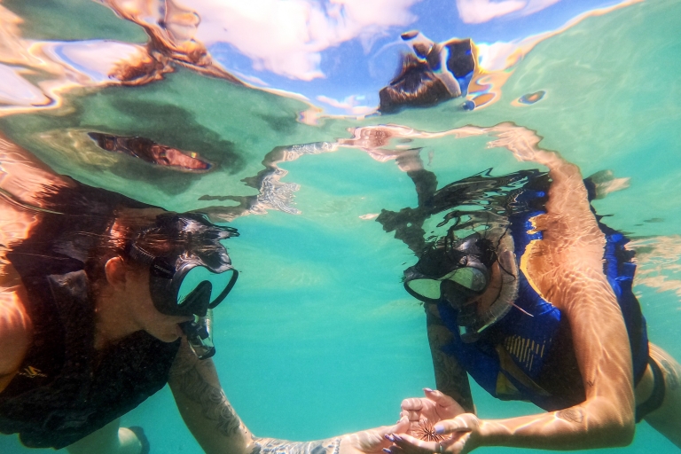 Puerto Rico: Schnorcheln mit Turtles Adventure