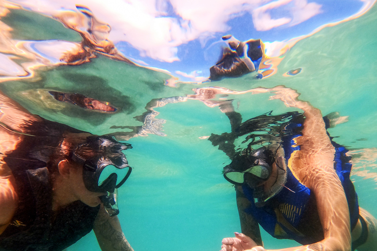 Puerto Rico: Snorkeling with Turtles Adventure