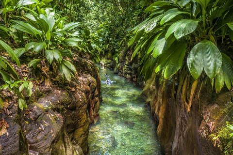 Een week vol onvergetelijke activiteiten in Guadeloupe!