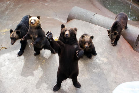 From Sapporo: Toya Lake and Noboribetsu Hell Valley Tour Depart from Sapporo Tokyu REI Hotel