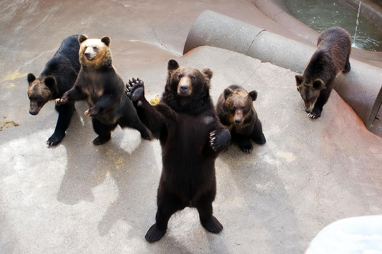 From Sapporo: Toya Lake and Noboribetsu Hell Valley Tour Depart from Sapporo Tokyu REI Hotel