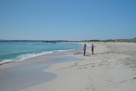 IBIZA: Formentera en Bici desde Ibiza con ferry rápido Pick-Up in Cala Vadella, Club Delfín, Cala Carbo, San Vicent