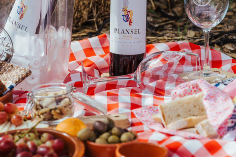 Évora o Montemor: Picnic presso la cantina Plansel