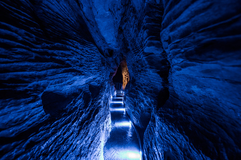 De Auckland: Excursão de um dia a Waitomo Glowworm e Ruakuri Caves