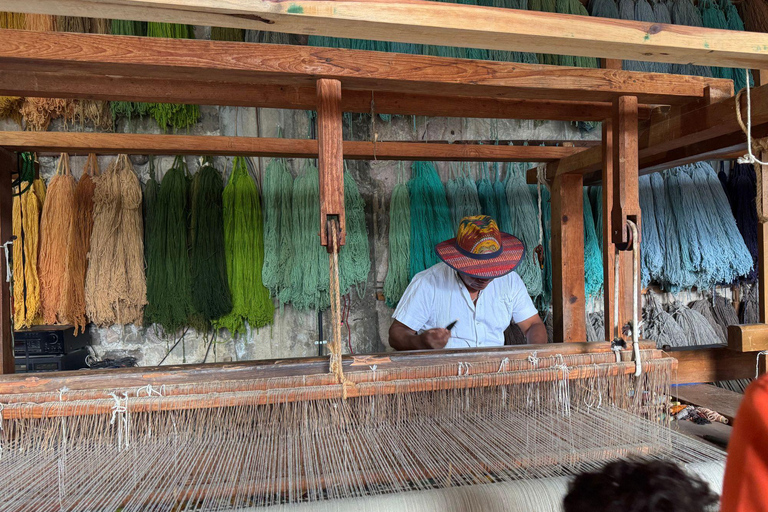 Cuisine ancestrale, art textile à Teotitlán et Tule Tree