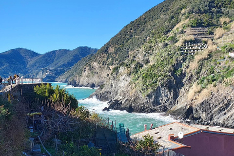 Florence to Cinque Terre e Pisa: Private Full-Day Tour