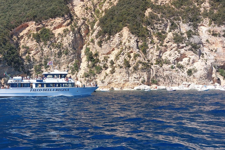 Santa Maria Navarrese: Full-Day Costa di Baunei Boat Tour