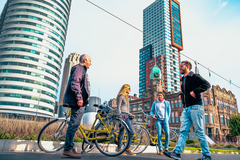 Rotterdam: Classic Highlight Bicycle Tour by Local