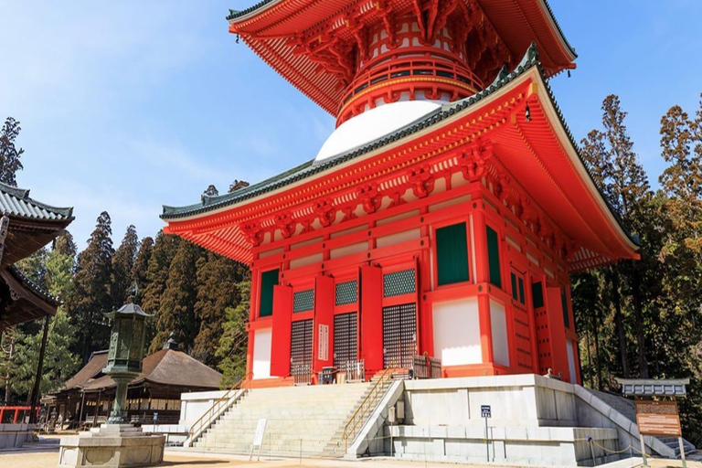 Wakayama: Private Tour to Nachi Falls & Mount Koya
