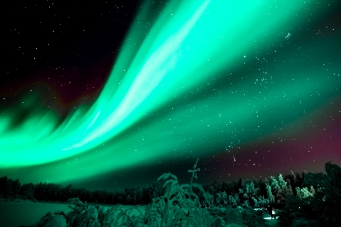 Rovaniemi: Excursión a la Aurora Boreal con avistamiento garantizado