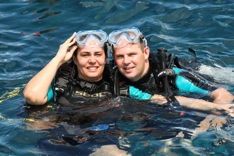 La Romana: Gerätetauchen auf der Isla Catalina