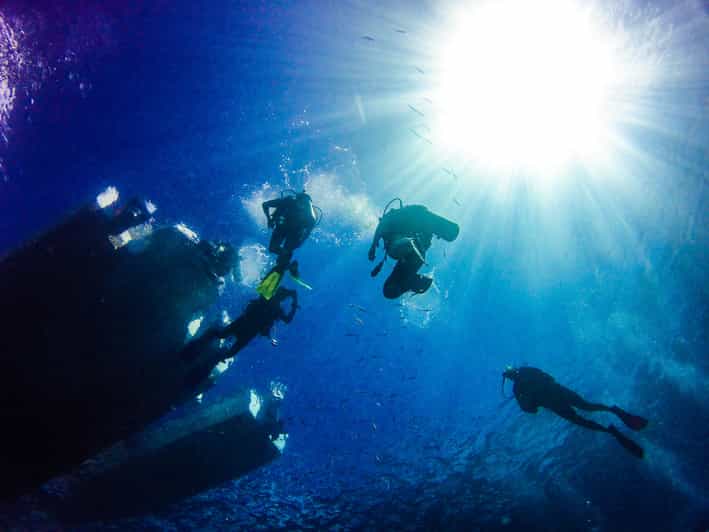 La Romana Scuba Diving in Catalina Island GetYourGuide