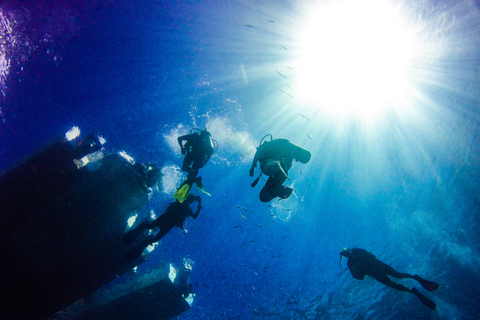 La Romana: Mergulho na Ilha Catalina