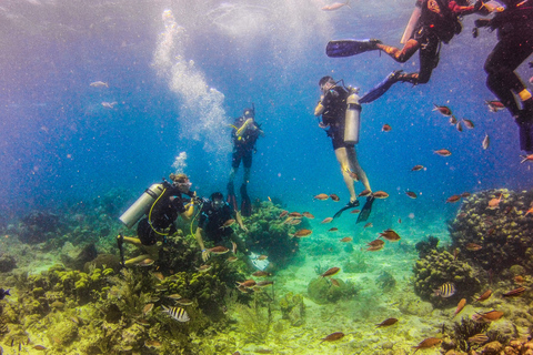 La Romana: Gerätetauchen auf der Isla Catalina