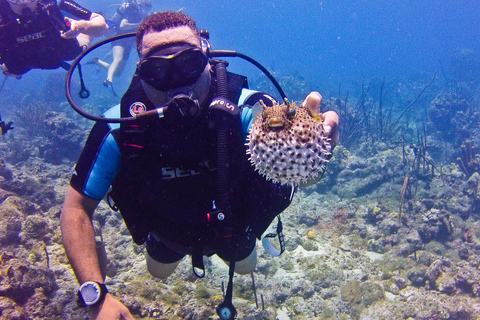 La Romana: plongée sous-marine sur l'île de Catalina