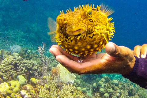 La Romana: duiken op het eiland Catalina