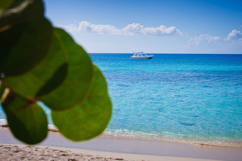 La Romana: Mergulho na Ilha Catalina