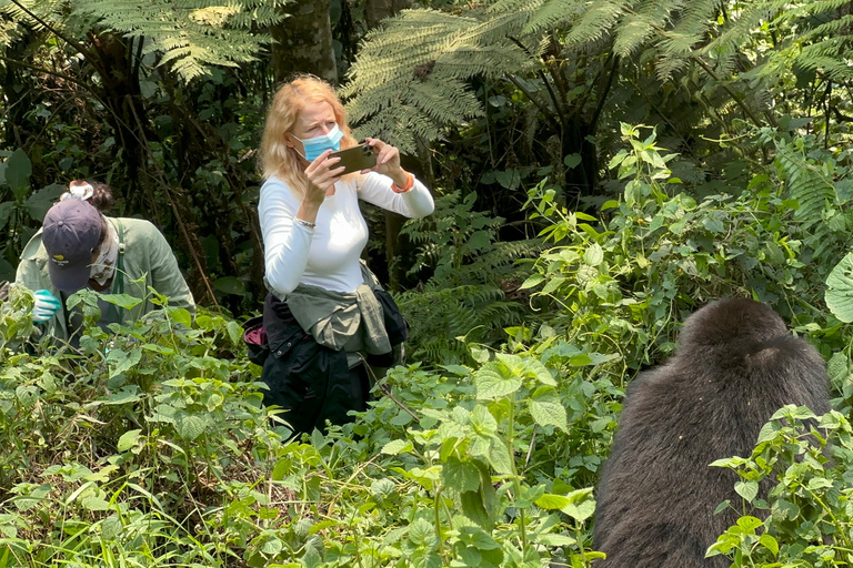 Passeio de 3 dias ao Gorila Mgahinga Gorilla NP Uganda via Ruanda