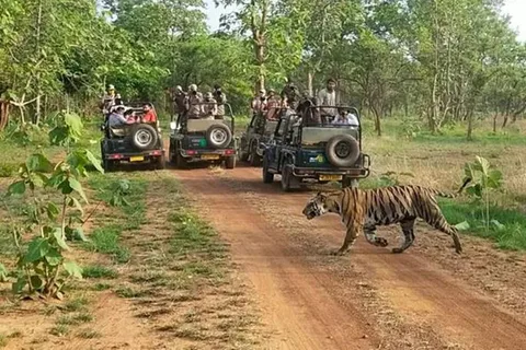 Agra to Khajuraho & Panna: Explore Temples & Wildlife