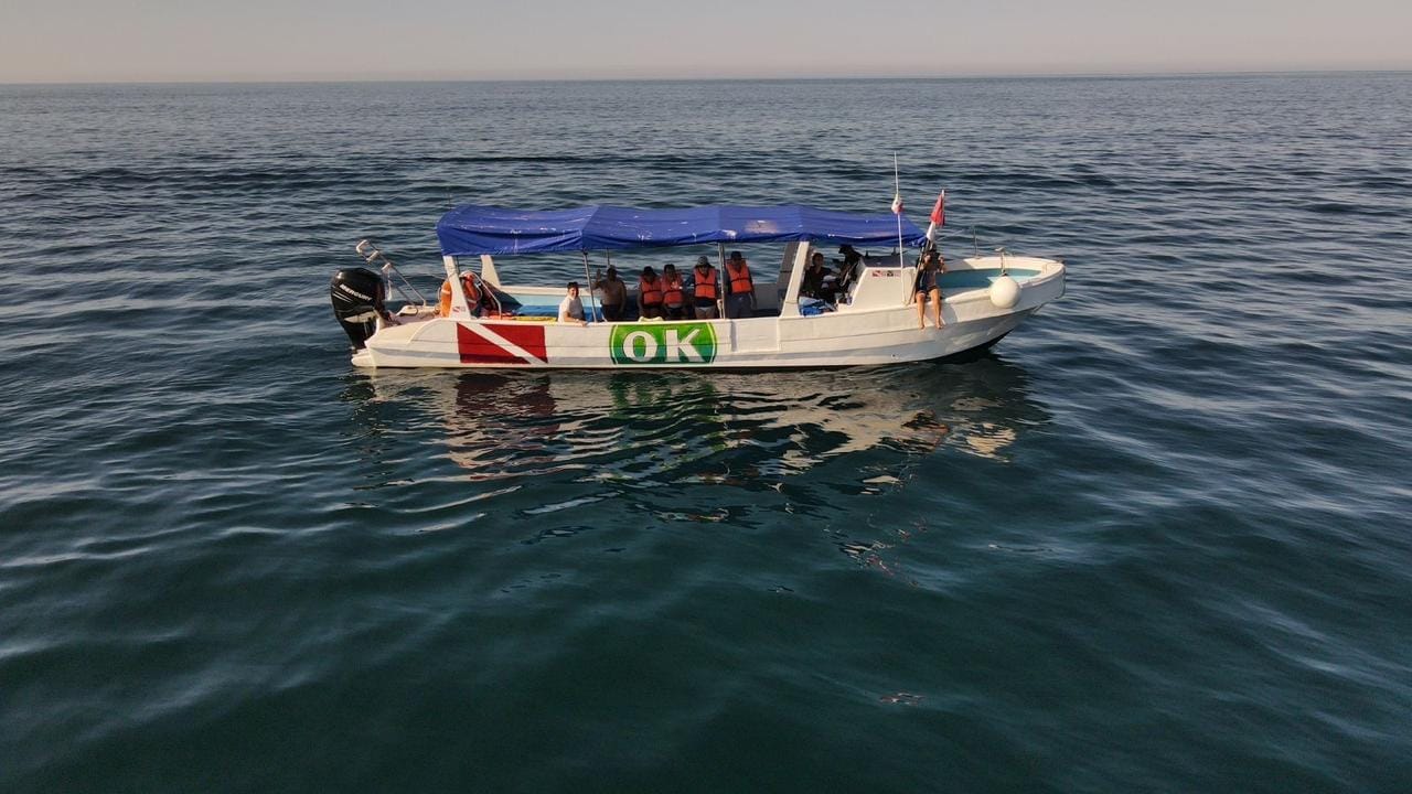 Zihuatanejo Ixtapa Beobachtung von Buckelwalen