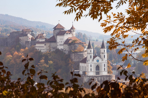 Excursión privada de un día desde Basilea a Lucerna, Aarburg y Castillo