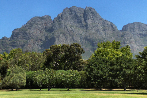 Cape Town: Stellenbosch and Franschhoek Winelands Tour