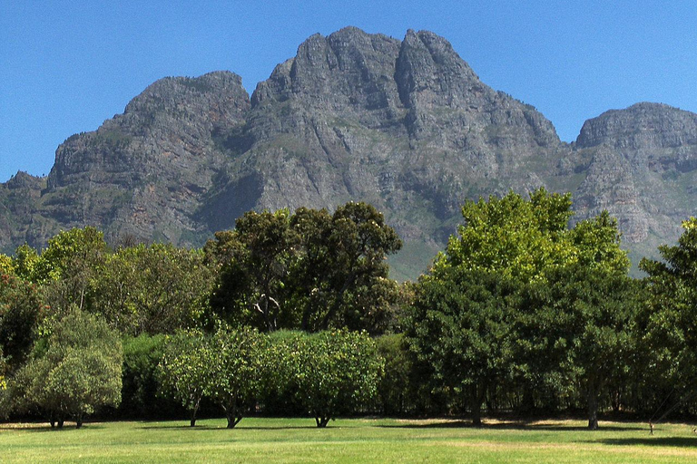 Kapsztad: wycieczka po winnicach Stellenbosch i Franschhoek