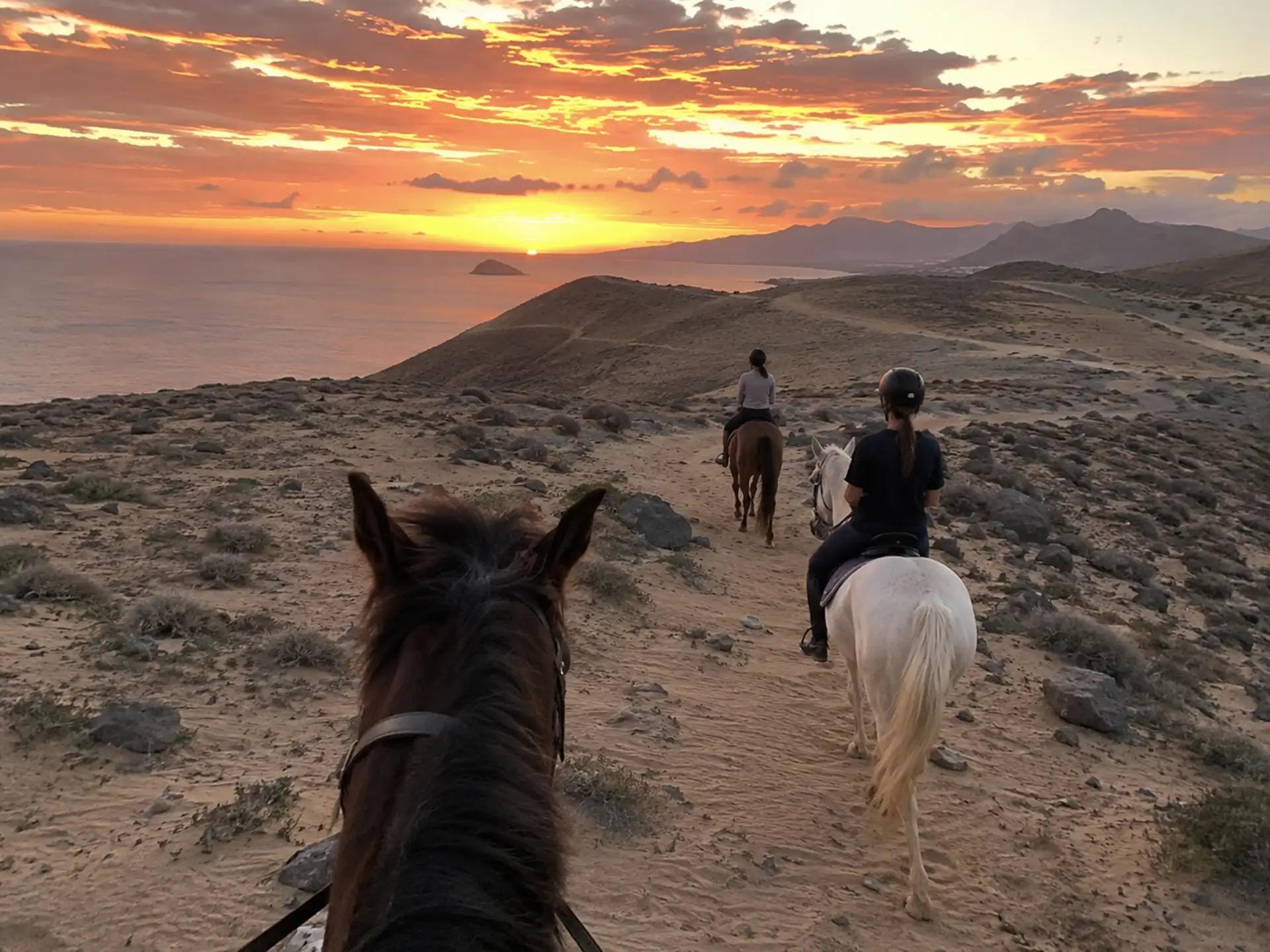 Porto Santo: paseo a caballo al atardecer hasta el mirador de ballenas
