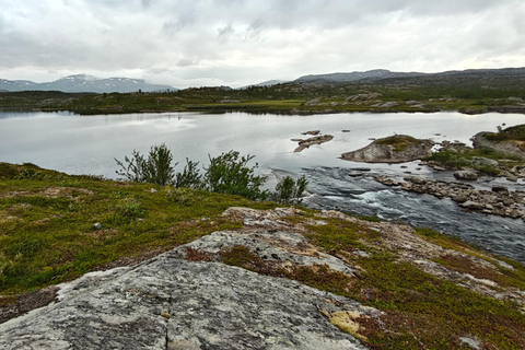 Abisko: Inkanjaure Hidden Lake Hike