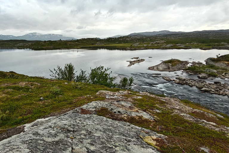 Abisko: Inkanjaure Hidden Lake Hike