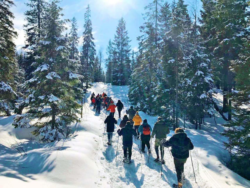 Snowshoe tour in winter wonderland  GetYourGuide