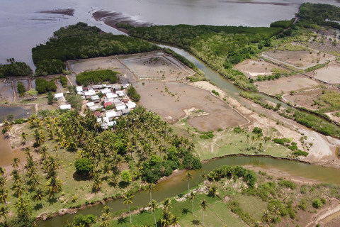 Bagek Kembar: Mangrove & Stingless Beekeeping Experience
