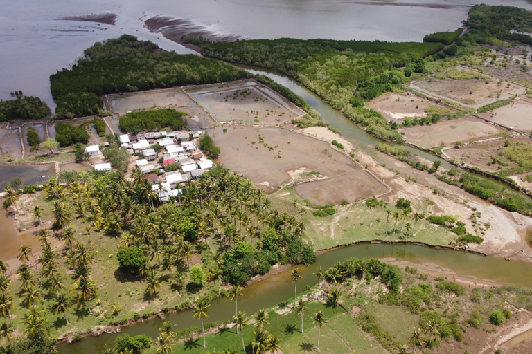 Bagek Kembar: Mangrove & Stingless Beekeeping Experience