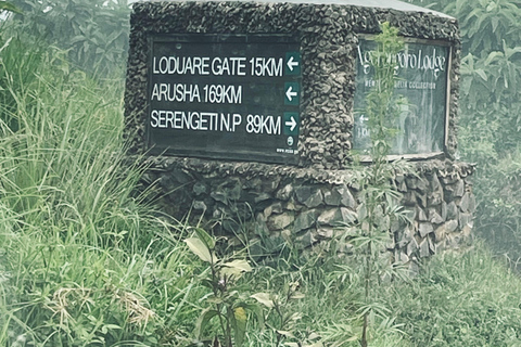 Arusha: Ngorongoro Crater Day Trip with Game Drive