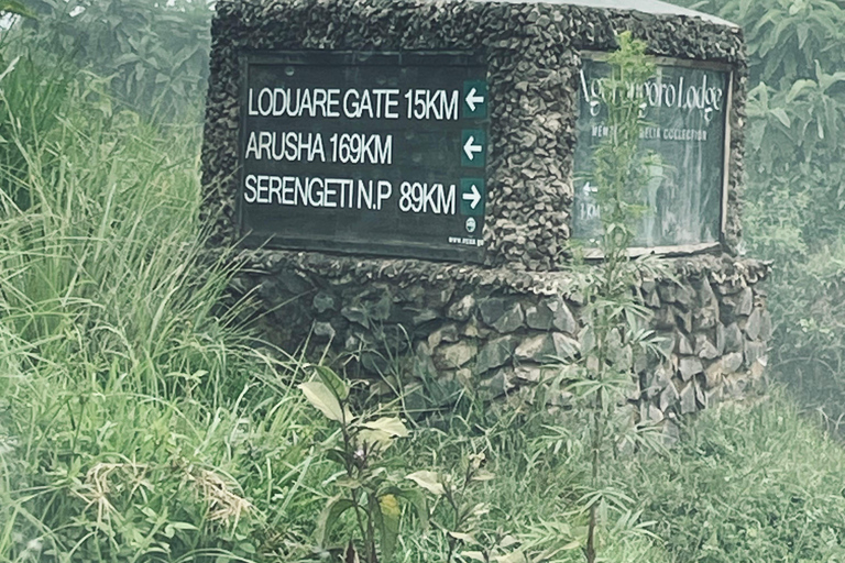 Arusha: Ngorongoro Crater Day Trip with Game Drive