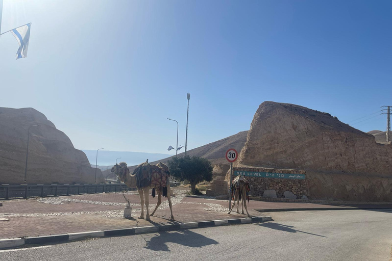 From Jerusalem /Tel Aviv: Masada & Dead Sea Tour with Pickup From Tel Aviv: Masada & Dead Sea Tour with Pickup