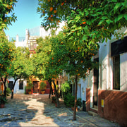 Sevilha: Excursão a pé pela cidade medieval