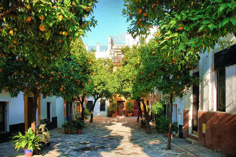 Seville: Medieval Walking Tour