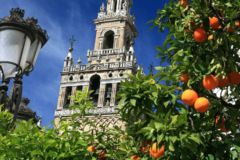 Seville: Medieval Walking Tour