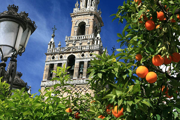 Seville: Medieval Walking Tour