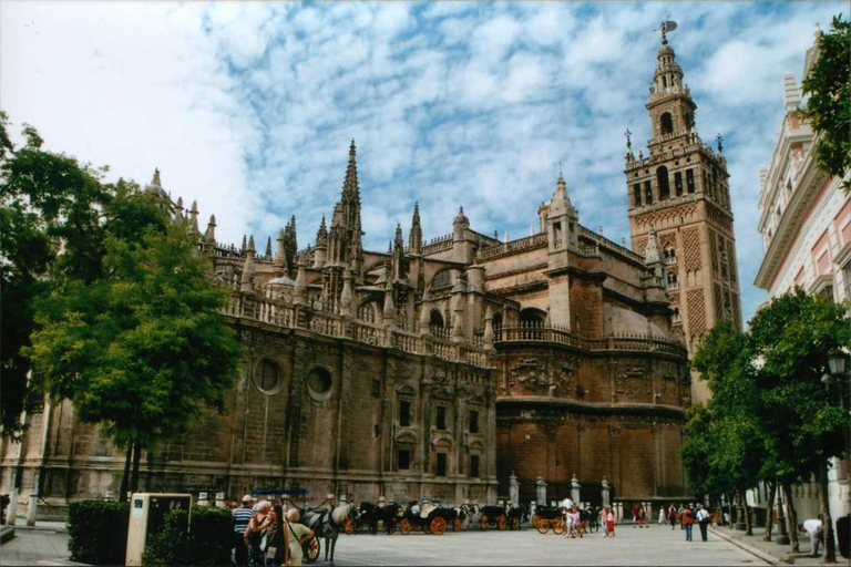 Seville: Medieval Walking Tour