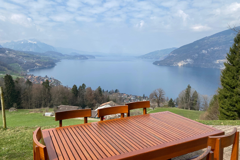 Meielisalp: Helicopter Flight with Stopover for a Swiss Meal